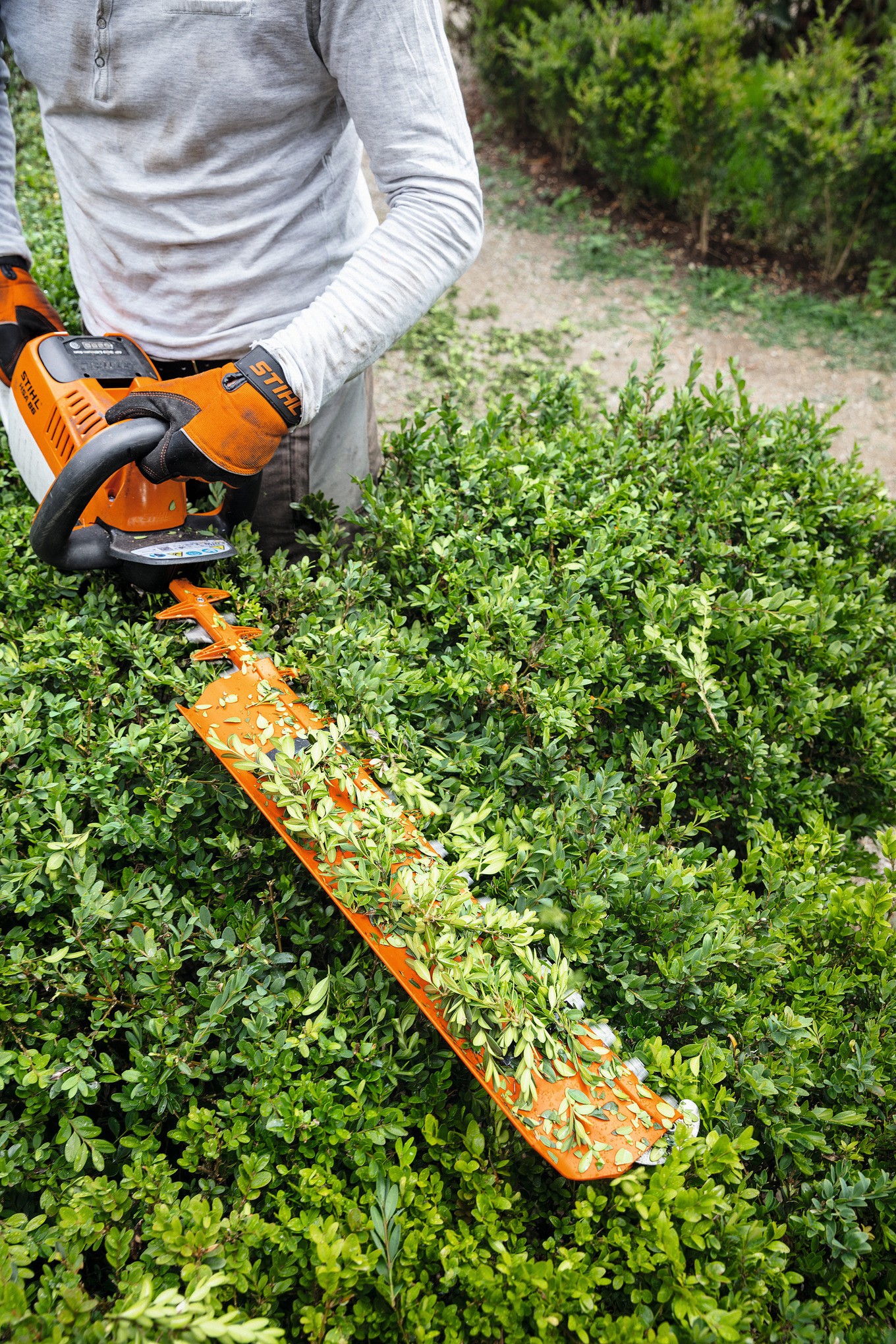Συλλέκτης για μαχαίρι