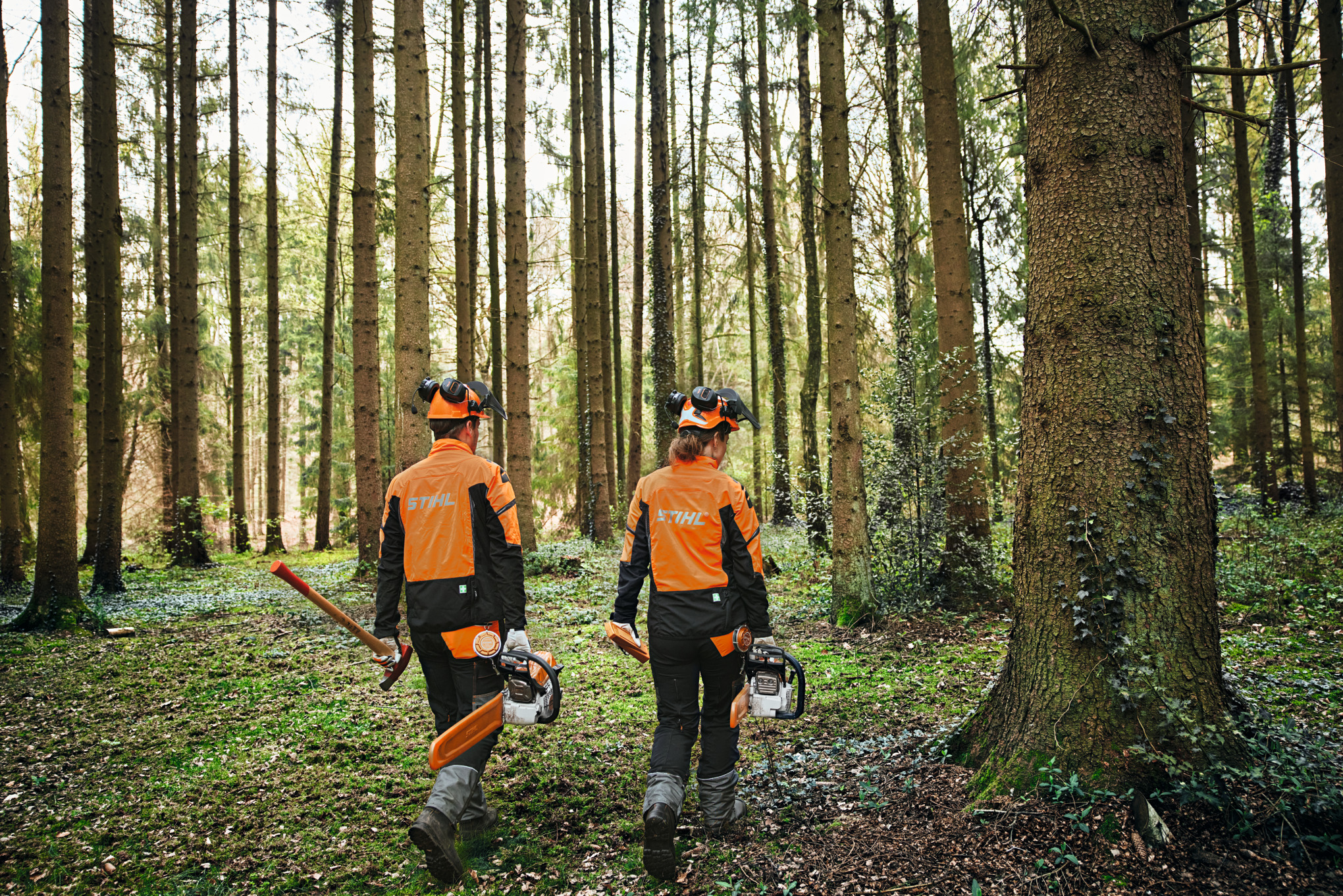 Δύο άτομα στο δάσος με προστατευτικό εξοπλισμό με μηχανοκίνητα αλυσοπρίονα και τσεκούρι.