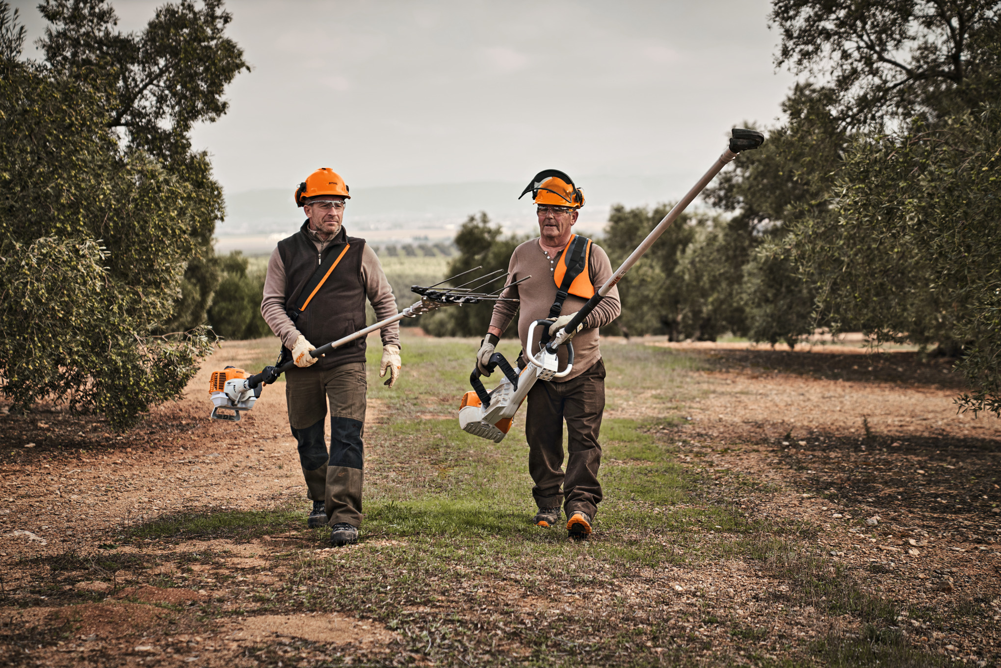Δύο αγρότες με ελαιοραβδιστικά  μηχανήματα STIHL