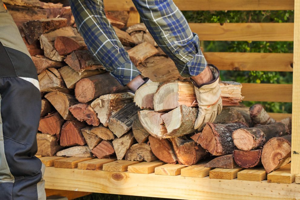 man with woods